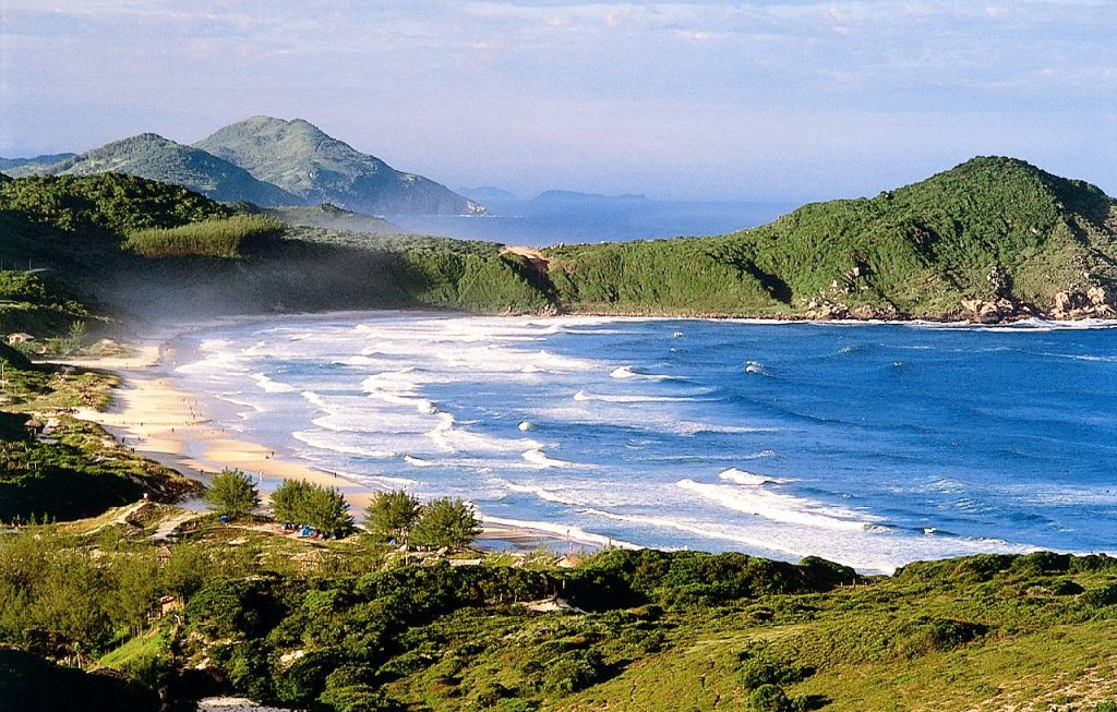 Vista aérea de enseada preservada com vegetação densa e mar verde-esmeralda, realçando ambiente natural intocado