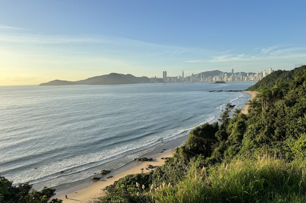 Vista panorâmica do Oceano Atlântico a partir do alto do Morro do Careca: encosta coberta de mata nativa à direita, faixa de areia da Praia dos Amores abaixo e, ao fundo, arranha-céus de Balneário Camboriú sob céu azul ao amanhecer.