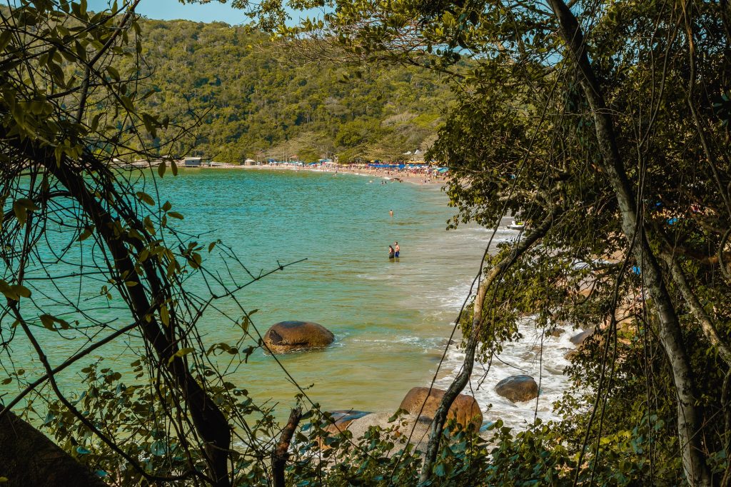 Vista da Praia de Laranjeiras em Balneário Camboriú através de vegetação costeira, com águas calmas e areia dourada