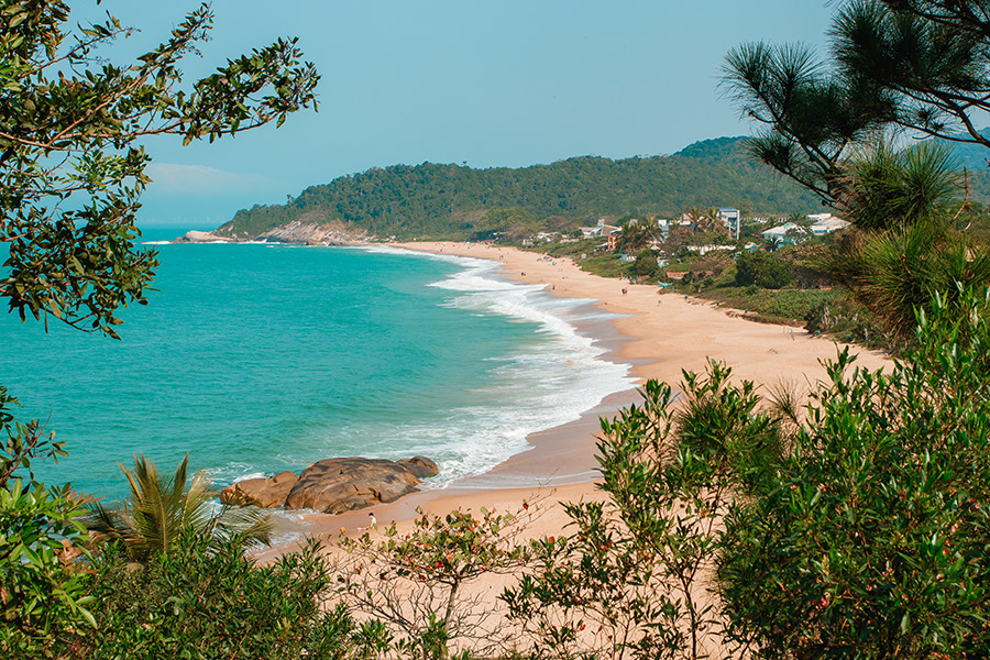 Praia do Estaleirinho com areia dourada, mar verde-turquesa e vegetação costeira